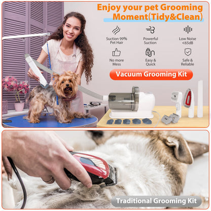 Multifunctional pet hair trimmer dog vacuum cleaner set all-in-one pet beauty device vacuum cleaner hair clipper