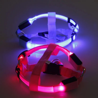 Nylon Pet Safety LED Harness