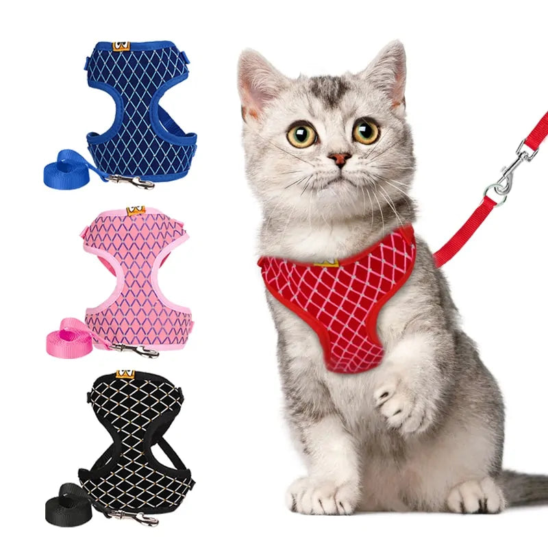 Rhinestone Pet Harness And Leash Set